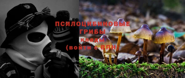 ECSTASY Алексеевка