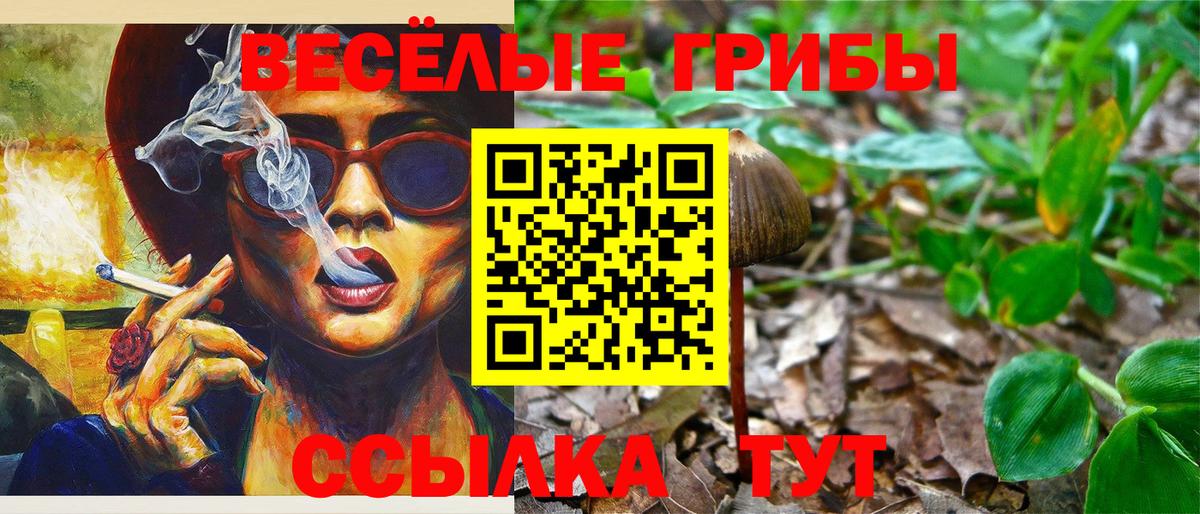 Псилоцибиновые грибы Magic Shrooms  наркота  Псилоцибиновые грибы ЛСД  Михайловск  Вход с VPN 