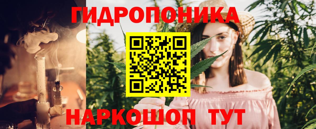 Михайловск  МАРИХУАНА планчик  Марихуана план  Вход с VPN  Марихуана White Widow  Бошки марихуана сатива 